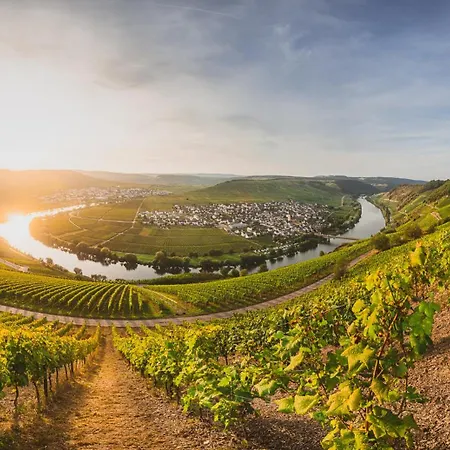 Claes Weinquartier - & Wine By Niko Schmitt 公寓 特里特海姆