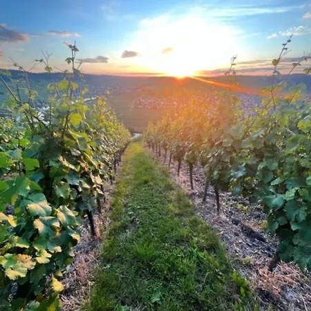 Claes Weinquartier - & Wine By Niko Schmitt דירה טריטנהיים