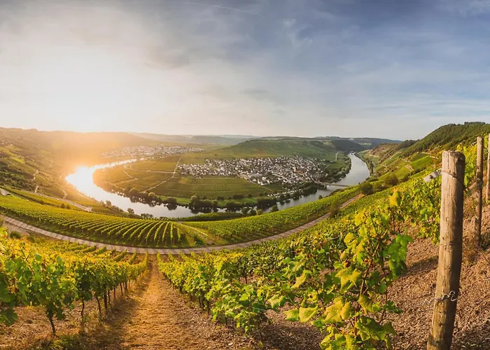 Claes Weinquartier - & Wine By Niko Schmitt 公寓 特里特海姆